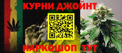 крисы Донской