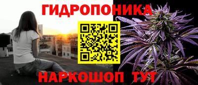 крисы Донской