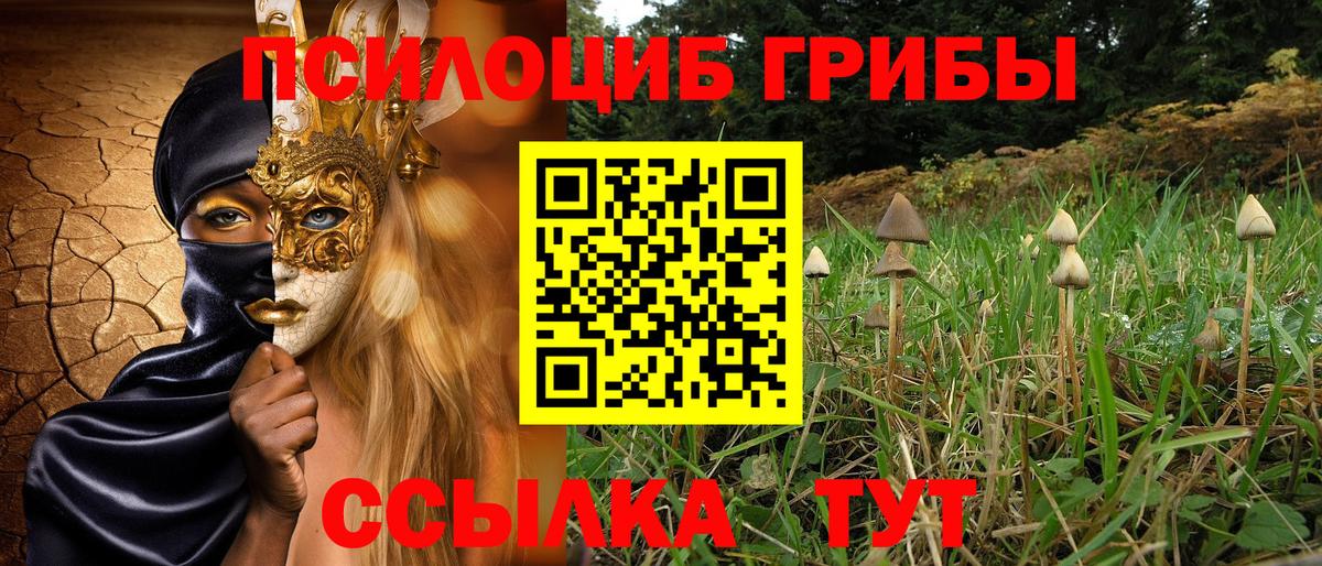 Приморско-Ахтарск  Псилоцибиновые грибы ЛСД  Вход с VPN 