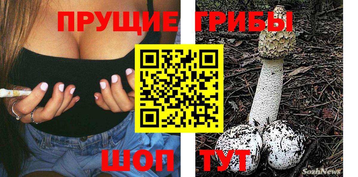 Галлюциногенные грибы мицелий Приморско-Ахтарск